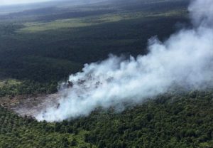 Antisipasi Karhutla, BRIN Turunkan Tim Modifikasi Cuaca ke Riau