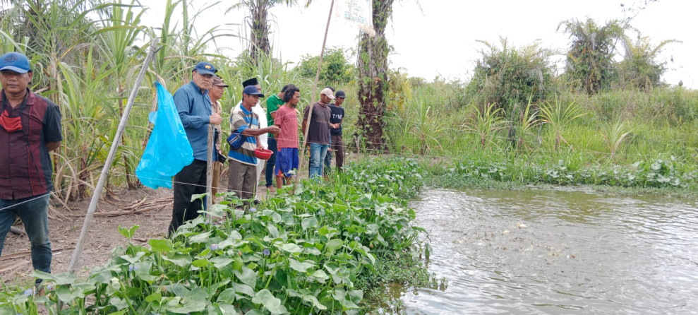 Lokasi Pembudidayaan Kampung Patin, Rokan Hilir, Selasa 15 Agustus 2023. KABAR CAKRAWALA/Dwiki Bernadio