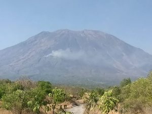 Kondisi Terkini Kebakaran Hutan Lindung di Lereng Gunung Agung