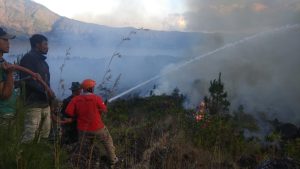 BBMKG Peringatkan Waspada Kebakaran Hutan di Bali