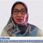 Rachmi Widiriani/Direktur Distribusi dan Cadangan Pangan Badan Pangan Nasional