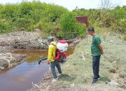 1.737 Kasus Malaria di Rohil, Tertinggi di Kecamatan Pasir Limau Kapas