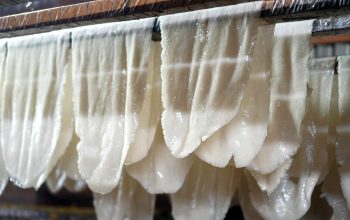 Kolaborasi PLN dan Rumah BUMN Dorong Produktivitas UMKM Mie Sagu Meranti lewat Program LYGA “Sagu Tiada Ragu”