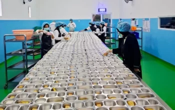 Perluasan MBG: Pemerintah yang Tidak Berhenti Bergerak