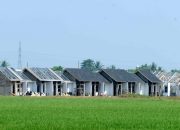 Percepat Hunian Layak, Papua Renovasi 2.100 Rumah Warga