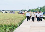 Ketika Dunia Bergejolak, Swasembada Pangan Adalah Solusi