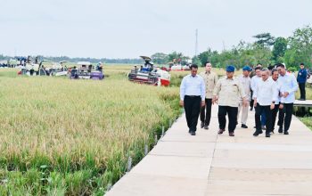 Ketika Dunia Bergejolak, Swasembada Pangan Adalah Solusi