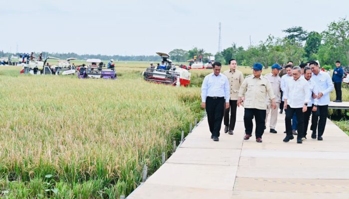 Ketika Dunia Bergejolak, Swasembada Pangan Adalah Solusi