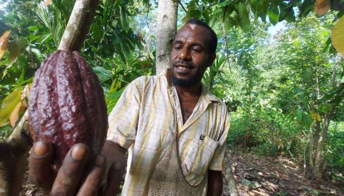 Penguatan Hilirisasi Komoditas Unggulan Papua Dorong Perekonomian Daerah