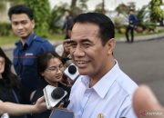 Swasembada Beras Diperkuat, Arah Kebijakan Menuju Pasar Ekspor