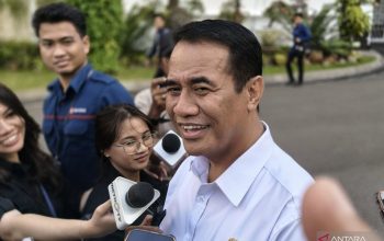 Swasembada Beras Diperkuat, Arah Kebijakan Menuju Pasar Ekspor