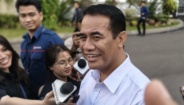 Swasembada Beras Diperkuat, Arah Kebijakan Menuju Pasar Ekspor