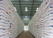 Produksi Surplus, Indonesia Siap Ekspor Beras
