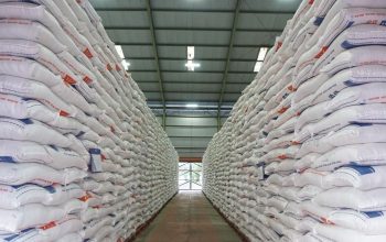 Produksi Surplus, Indonesia Siap Ekspor Beras