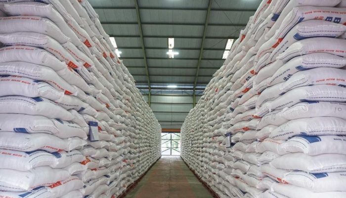 Produksi Surplus, Indonesia Siap Ekspor Beras