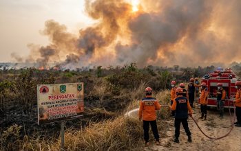 Kalsel Siap-siaga: Upaya Pencegahan Karhutla Ditingkatkan Menjelang Kemarau