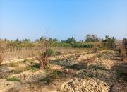 Pupuk Subsidi dan Nyawa Petani Konawe Selatan di Tengah Kemarau Panjang